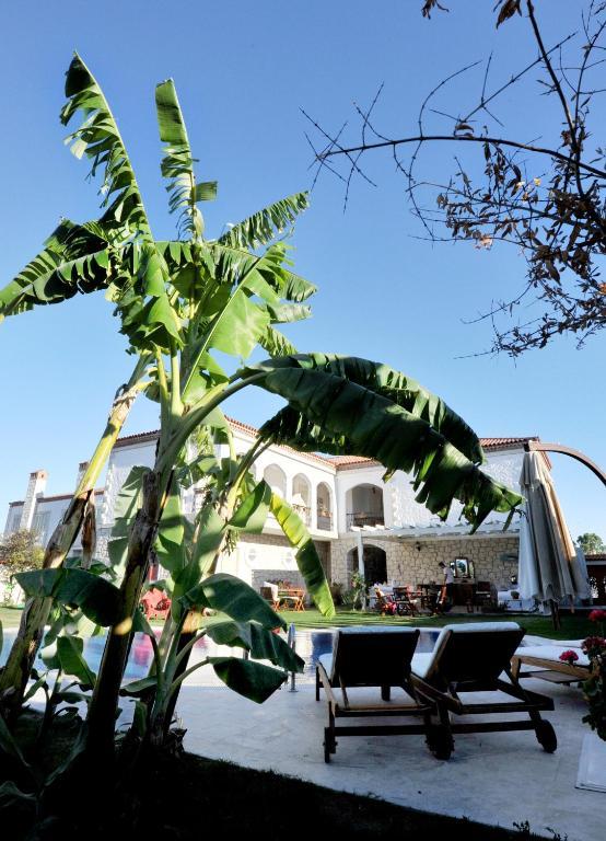 Mercan Koesk Alaçatı Extérieur photo